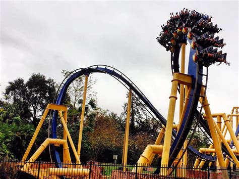 Got batwing? Montu at Busch Gardens Tampa : r/rollercoasters