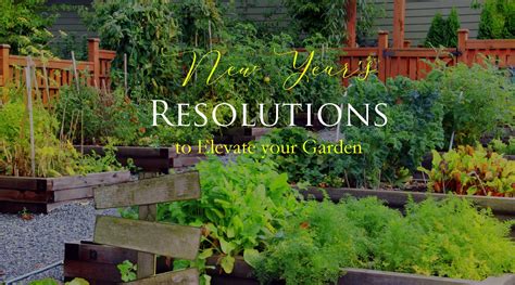 New Year's Resolutions to Elevate Your Garden Game: – Yard Butler