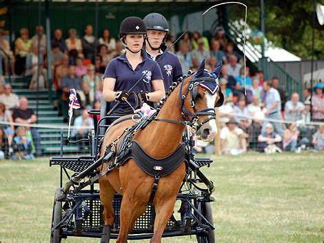 BBC - Essex - In Pictures - Tendring Show 2009