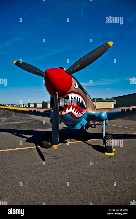 Curtiss P-40E Warhawk on display at the Warhawk Air Museum, Nampa ...