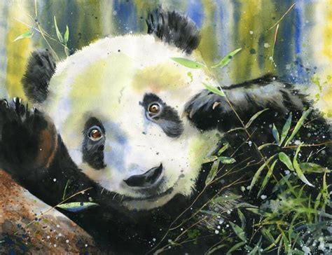 Rachel's Studio Blog: New Panda Watercolor Painting