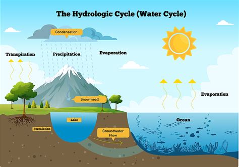 The Water Cycle - WorldAtlas