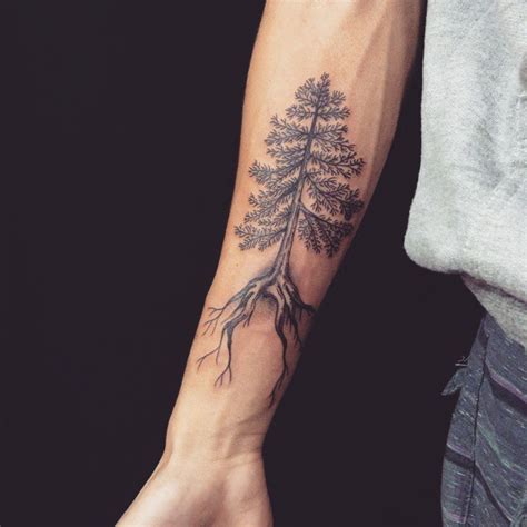 Pine tree forearm length tattoo with long roots - Tattooimages.biz