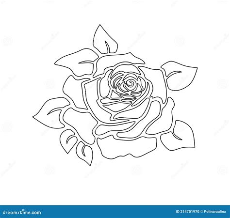 Rose Flower Outline Silhouette Stencil Drawing Stock Vector - Illustration of invitation ...