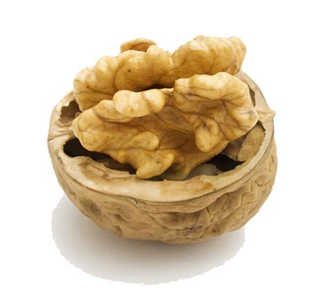 Walnut PNG HD - PNG All | PNG All