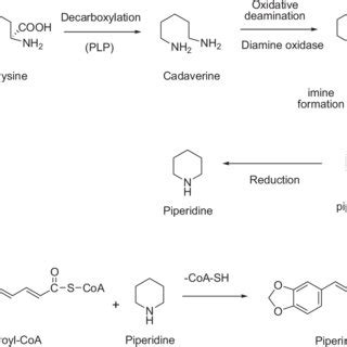 (PDF) Piperine and Its Various Physicochemical and Biological Aspects ...