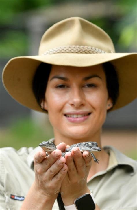 Billabong Sanctuary welcomes new saltwater crocodile babies | Daily Telegraph