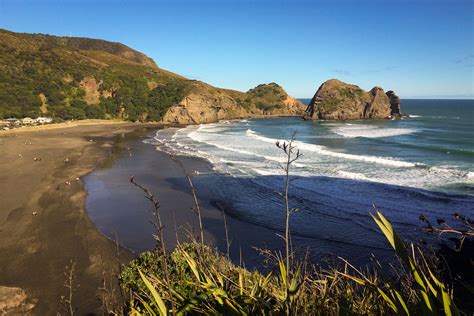 Piha Beach from Lion Rock - Ed O'Keeffe Photography