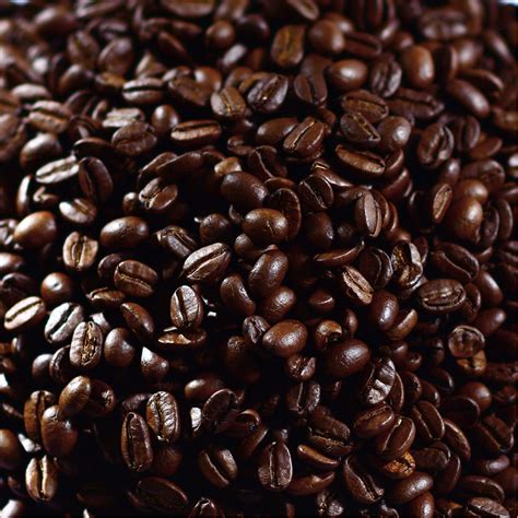Roasted Coffee Beans 100% Arabica 500gm – Aveon Cafe