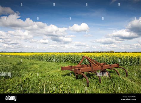 Iron plough hi-res stock photography and images - Alamy