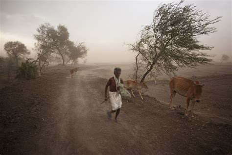 Dust Storm by Rohan Sachdeva, Photography | Art Limited