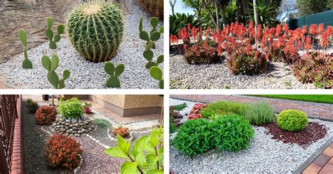 15 Pea Gravel Garden Ideas to Transform Your Outdoor Space