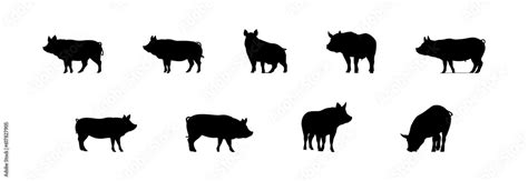 Black silhouette pig set flat cartoon isolated on white background ...