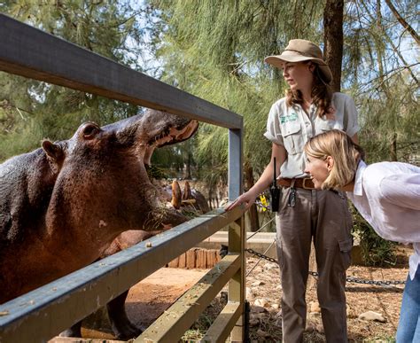 Visitor Information - Dubbo | Taronga Conservation Society Australia