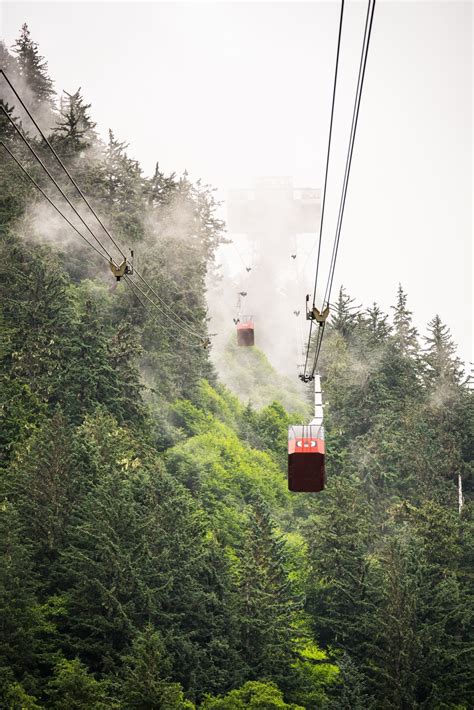 Insider's guide to the Mount Roberts Tram - Juneau Tours and Excursions ...