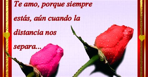 Imagenes de lindas rosas animadas con frases