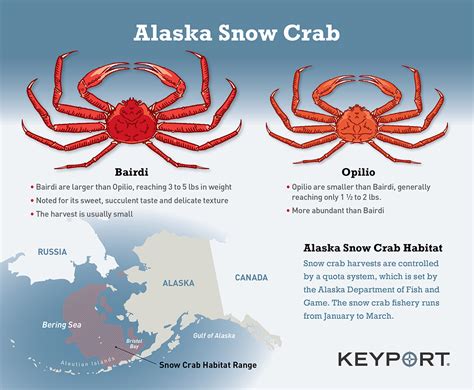 Alaska Snow Crab - Bairdi & Opilio - Keyport