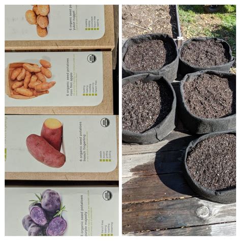 It's potato planting season! : r/garden