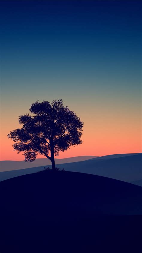 Tree Alone Dark Evening 4K HD Wallpapers | HD Wallpapers | ID #31741