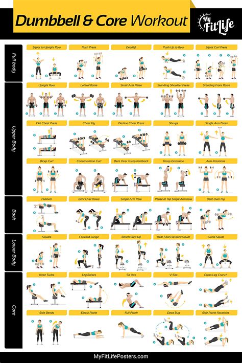 Buy Gym Dumbbell and Core Workout Laminated :: Illustrated Guide with ...