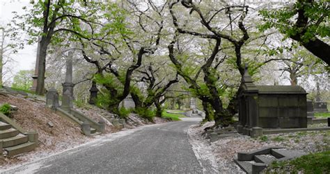 Green-Wood Cemetery In The Spring