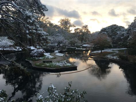 Japanese Garden - Roger Williams Park