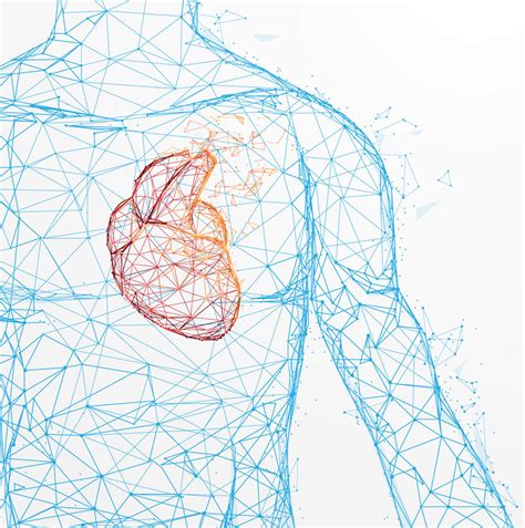 Uncovering critical cell death mechanisms for novel cardioprotective therapies - Research Outreach