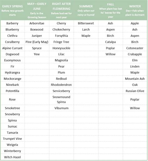 Tree and Shrub Pruning Guide - Heidi's GrowHaus & Lifestyle Gardens