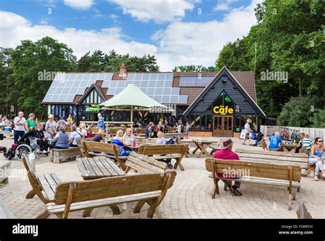 Cafe at High Lodge Visitors Centre in Thetford Forest, Norfolk Stock Photo, Royalty Free Image ...