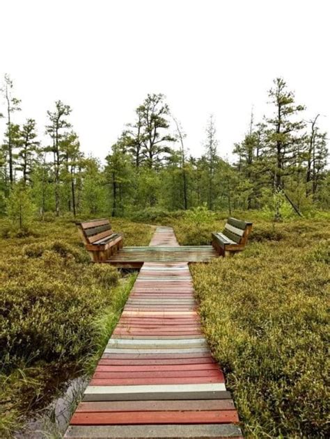 5 BEST Southern Maine Hiking Trails