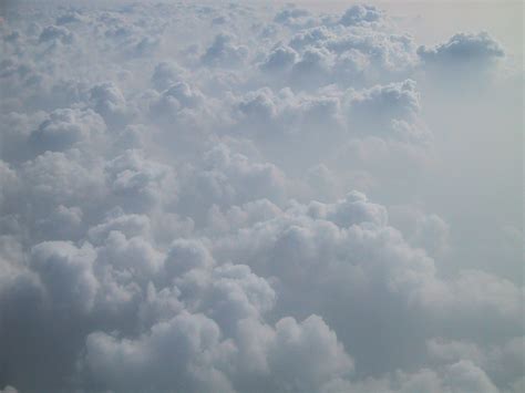 Free photograph; clouds, desktop, background