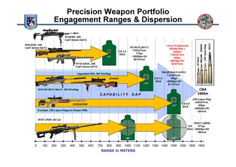 Explore the Precision and Power of Sniper Rifles