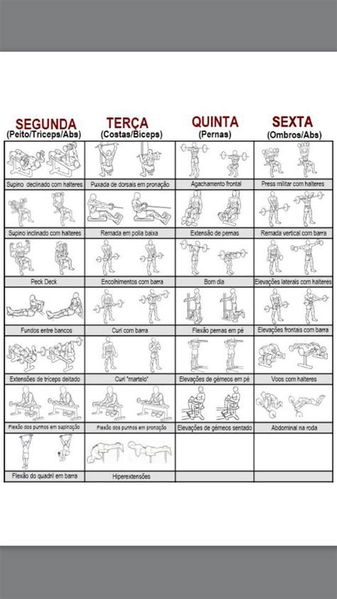 Plano 4dias | Plano de treino de musculação, Planos de treino semanais, Treinos para hipertrofi ...