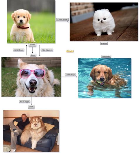 Doggo classifications. - Infographics