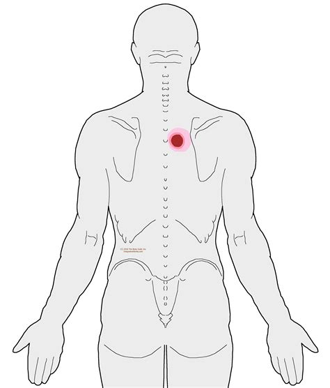 Sharp pain between the shoulder blades | Integrative Works