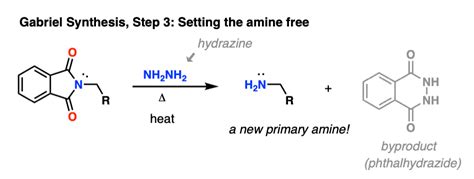 In The Gabriel Synthesis Of Primary Amines