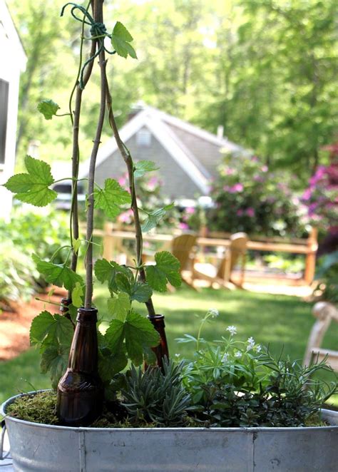 Grow A Beer Garden | Beer garden ideas, Brew garden, Beer garden