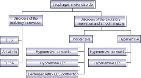 Figure 1 | Esophageal motility disorders : GI Motility online