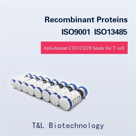 Actsep® CD3/CD28 Activation Magnetic Beads - China CD3/CD28 and ...