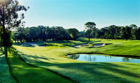 Innisbrook Resort and Golf Club - The Copperhead | All Square Golf