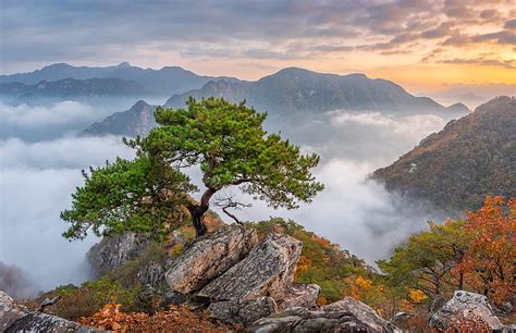 HD wallpaper: Asia, South Korea, nature, trees, mountains, rock ...