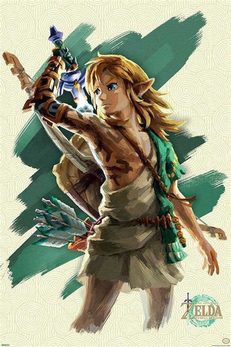 The Legend of Zelda: Tears of the Kingdom Link with Sword 24-in x 36-in Rolled Poster | GameStop