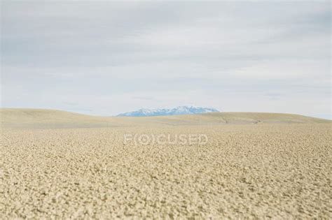 Desert, flat landscale at dusk — horizon over land, famous place - Stock Photo | #156315936