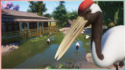 Red Crowned Crane Habitat | Mayberry Park Zoo | Planet Zoo Speed Build ...