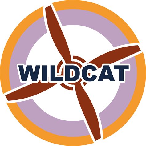 Team: Skyward Wildcat