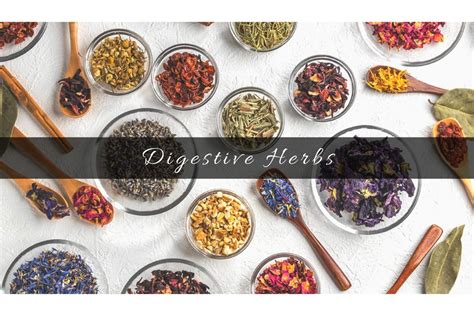 What Are The Best Herbs For Digestion Related Problems?