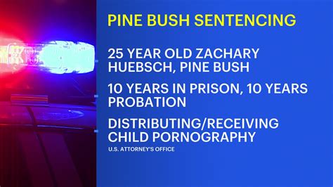 Pine Bush man sentenced for distributing and receiving child porn