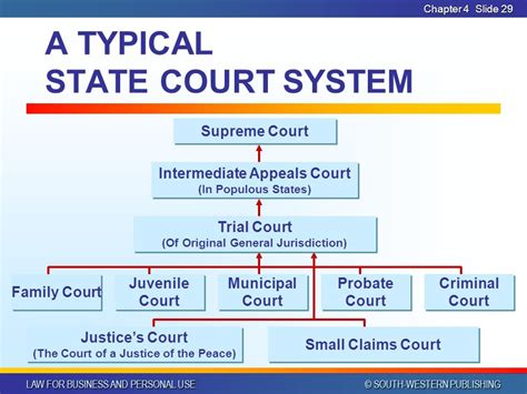 State Court System Diagram | Quizlet