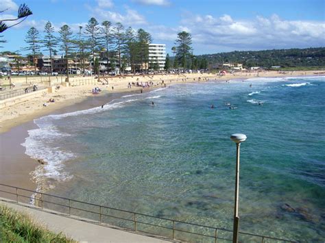 Things to do in Sydney - Dee Why BeachThings To Do In Sydney