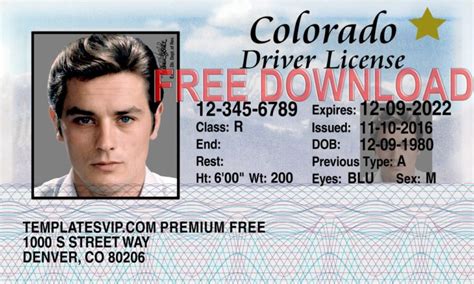 Colorado Driver License Psd Template In 2020 Psd Temp - vrogue.co